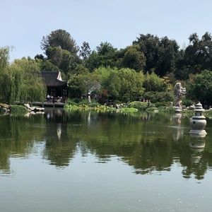 Meet your Posher, Ally